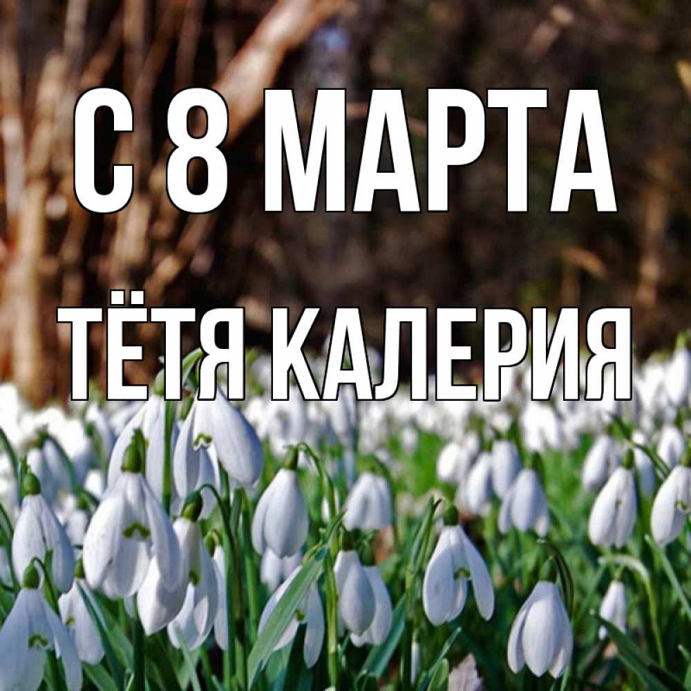 Открытка на каждый день с именем, Тётя-Калерия С 8 МАРТА с подснежниками 1 Прикольная открытка с пожеланием онлайн скачать бесплатно 