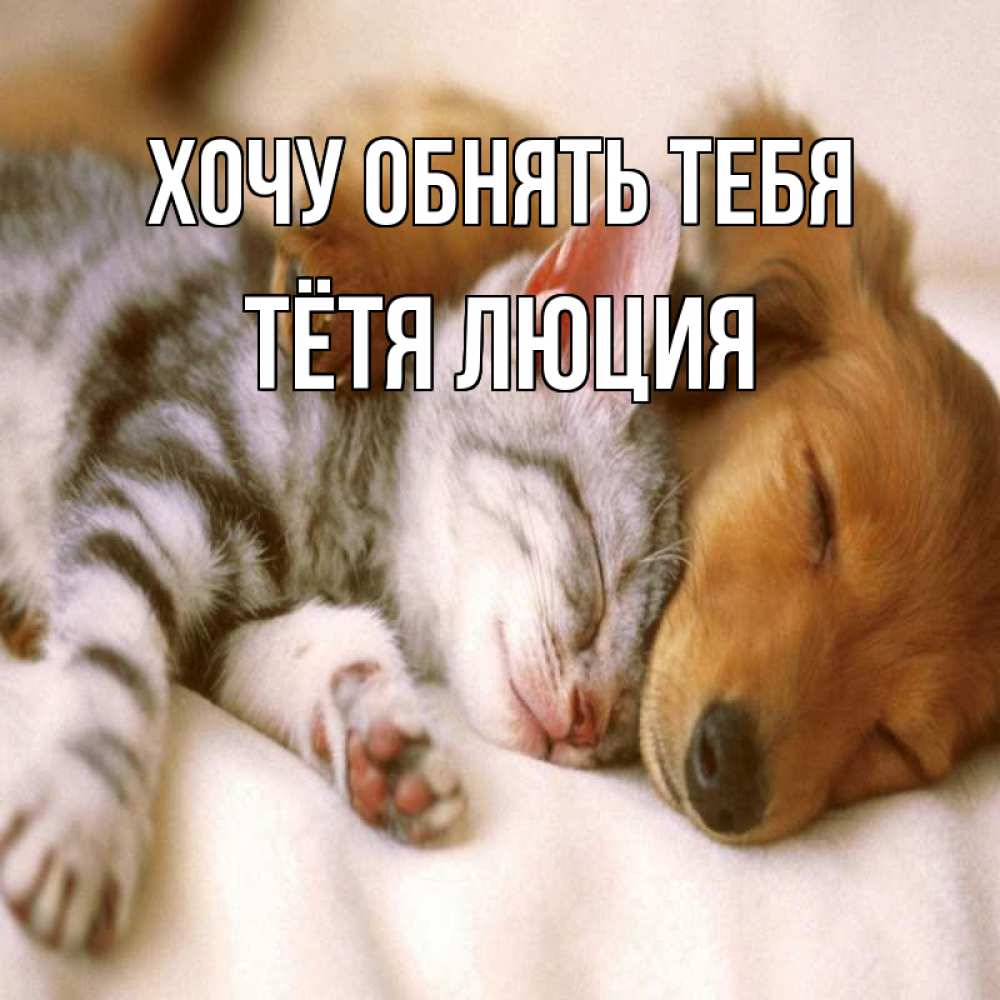 Открытка на каждый день с именем, Тётя-Люция Хочу обнять тебя пес и котенок Прикольная открытка с пожеланием онлайн скачать бесплатно 