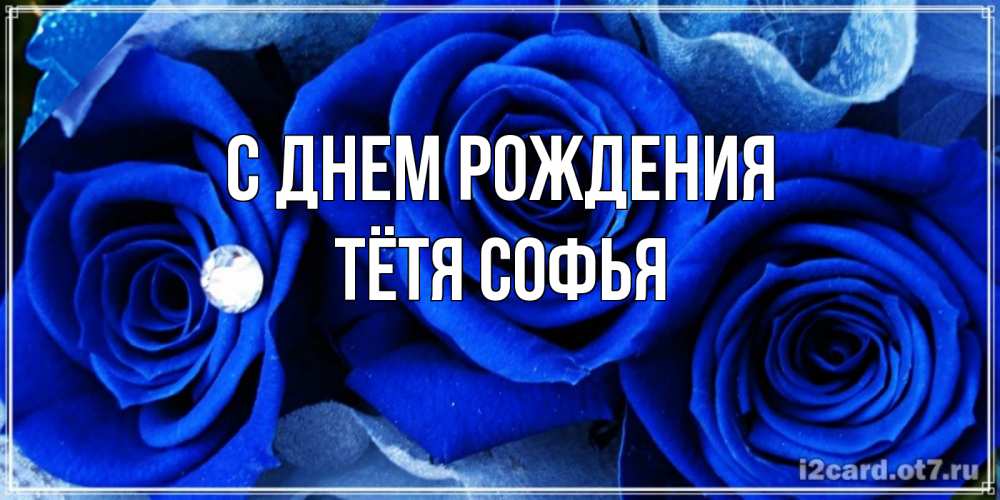 Открытка на каждый день с именем, Тётя-Софья С днем рождения синие розы в росе Прикольная открытка с пожеланием онлайн скачать бесплатно 
