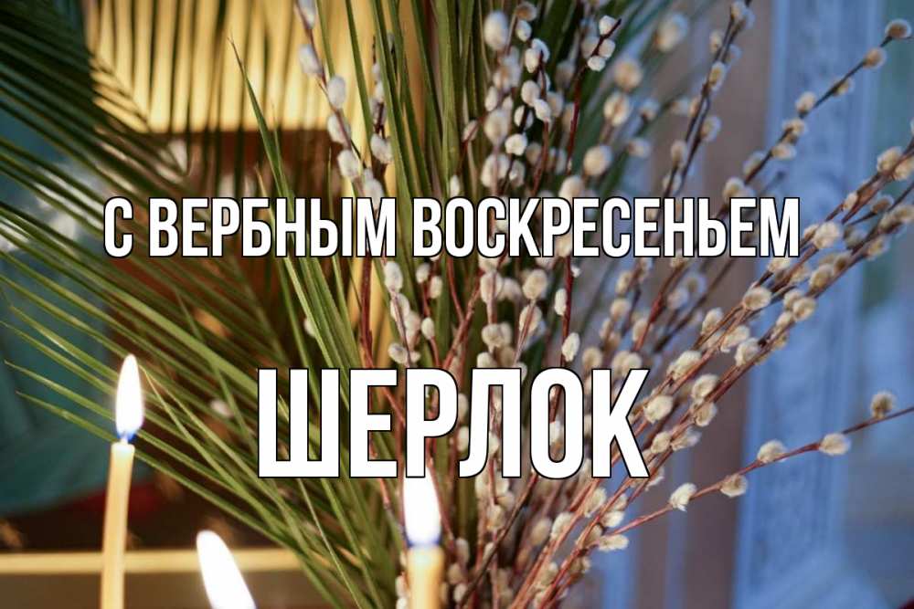 Открытка на каждый день с именем, Шерлок С вербным воскресеньем верба Прикольная открытка с пожеланием онлайн скачать бесплатно 