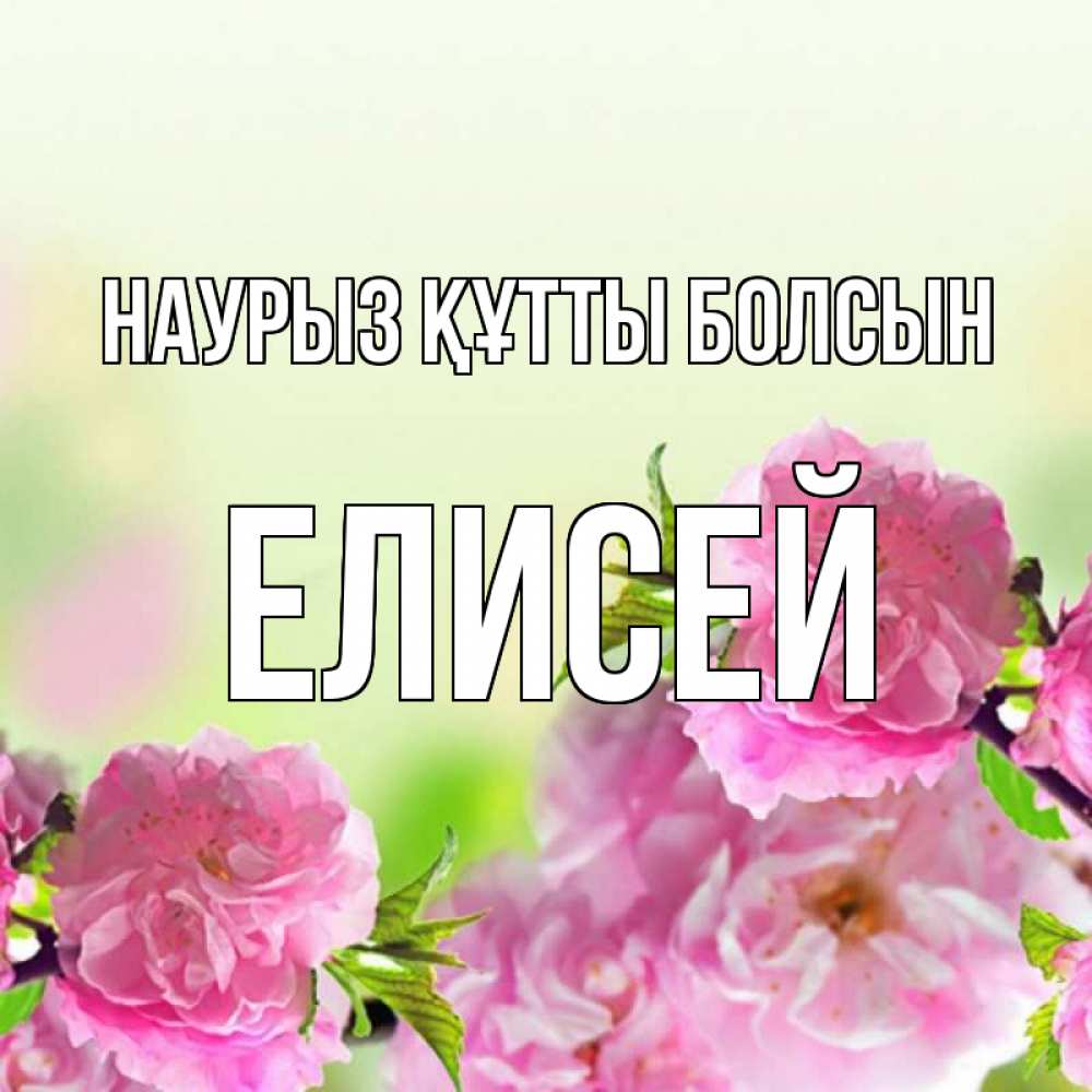 Открытка на каждый день с именем, Елисей Наурыз құтты болсын цветы Прикольная открытка с пожеланием онлайн скачать бесплатно 