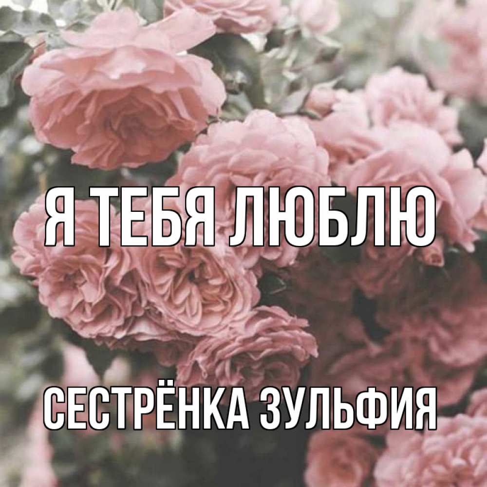Открытка на каждый день с именем, Сестрёнка-Зульфия Я тебя люблю розы 3 Прикольная открытка с пожеланием онлайн скачать бесплатно 