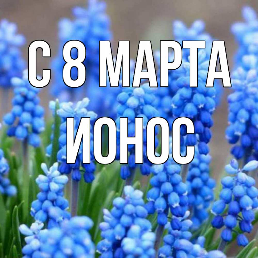 Картинка С 8 МАРТА, Ионос