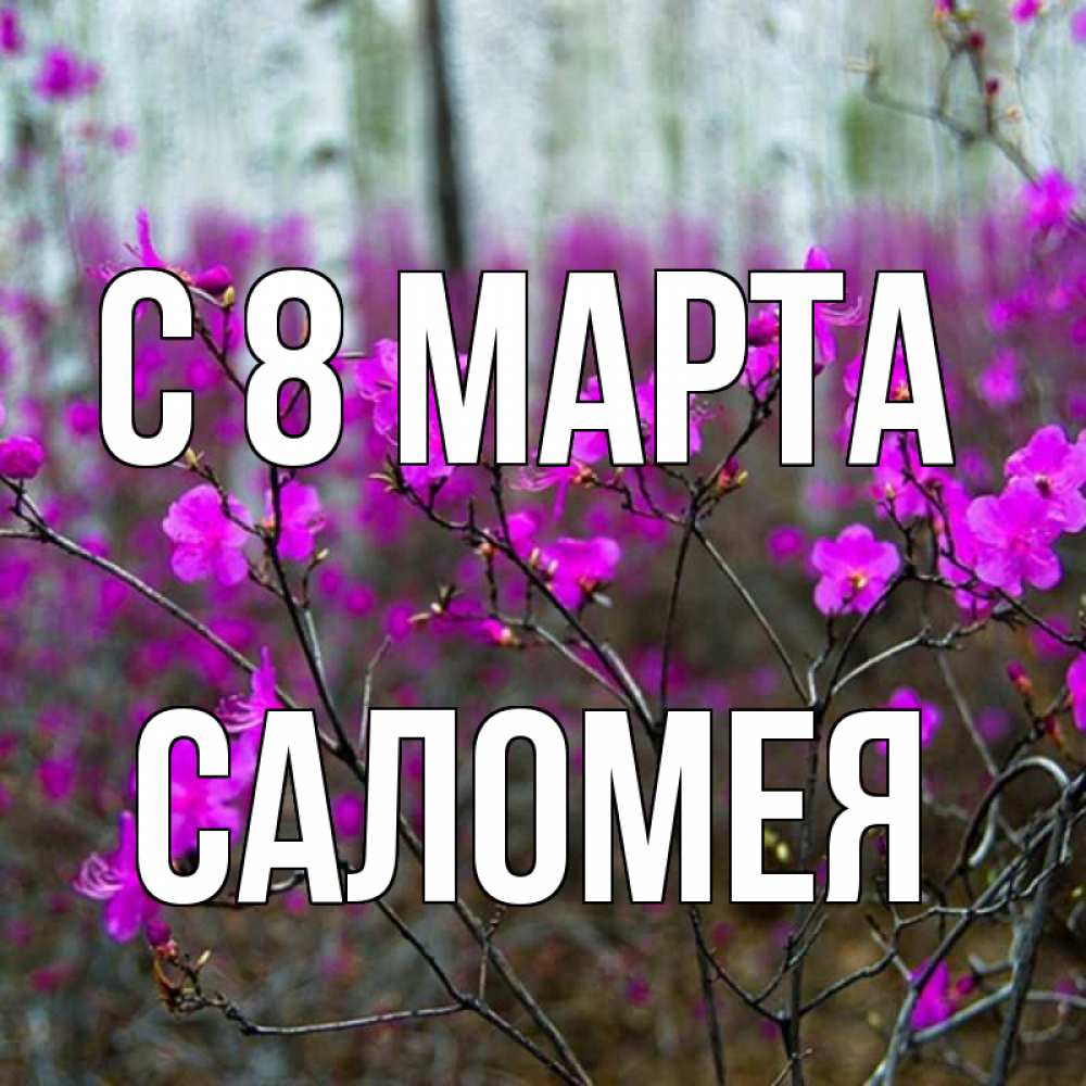 Картинка С 8 марта, Саломея