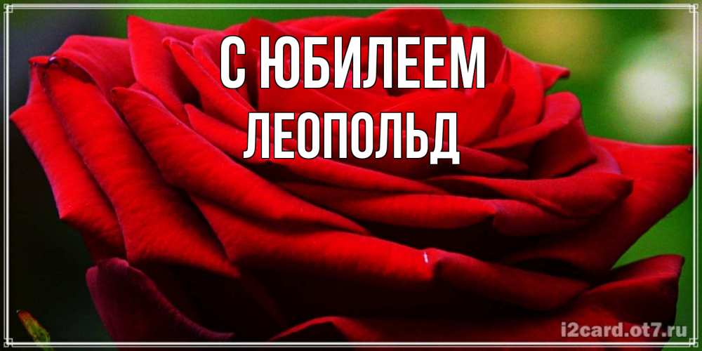 Открытка на каждый день с именем, Леопольд С юбилеем розочка очень красивая Прикольная открытка с пожеланием онлайн скачать бесплатно 