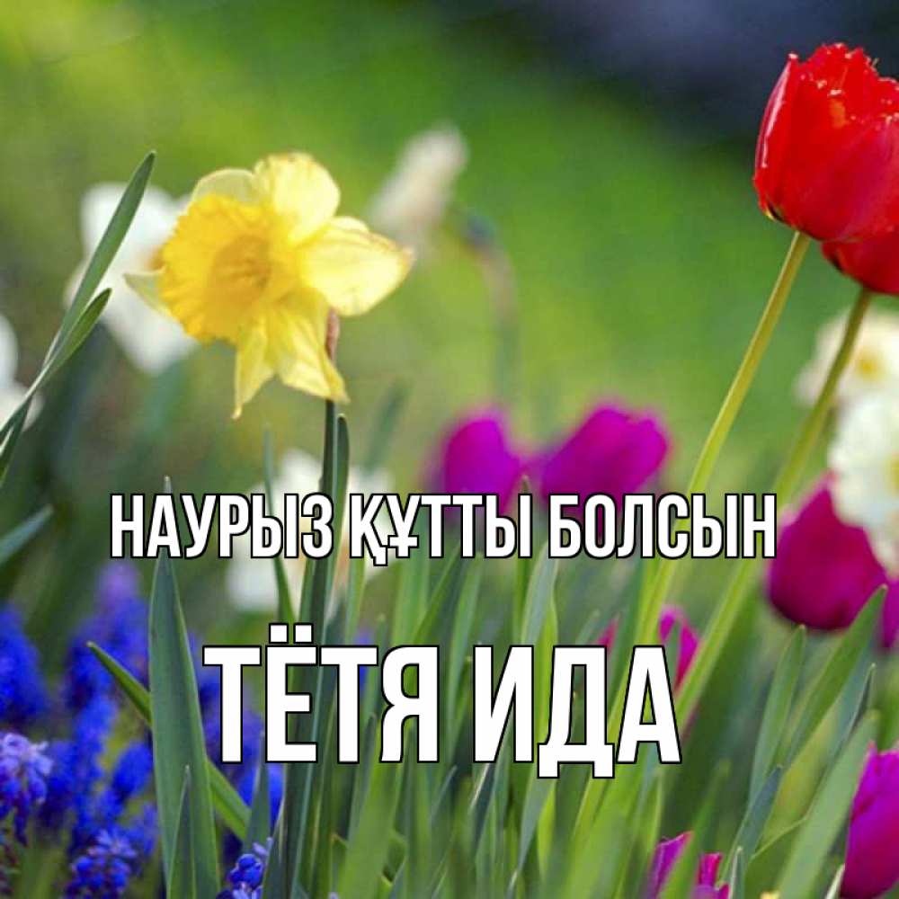Открытка на каждый день с именем, Тётя-Ида Наурыз құтты болсын наурыз  3 открытки Прикольная открытка с пожеланием онлайн скачать бесплатно 