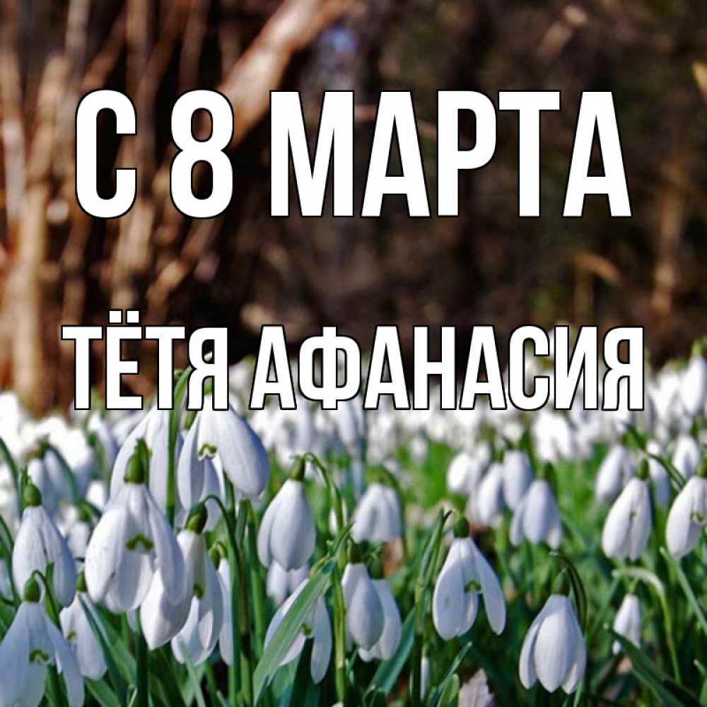 Открытка на каждый день с именем, Тётя-Афанасия С 8 МАРТА с подснежниками 1 Прикольная открытка с пожеланием онлайн скачать бесплатно 