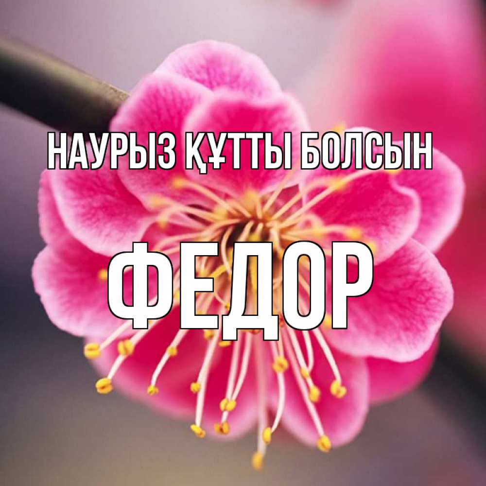 Открытка на каждый день с именем, Федор Наурыз құтты болсын цветы Прикольная открытка с пожеланием онлайн скачать бесплатно 