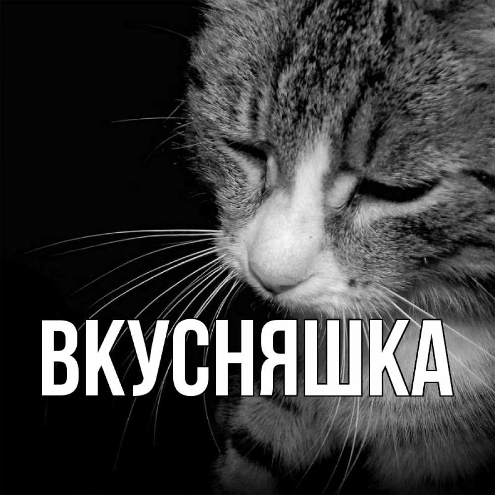 Открытка на каждый день с именем, Вкусняшка Главная грустный котик Прикольная открытка с пожеланием онлайн скачать бесплатно 