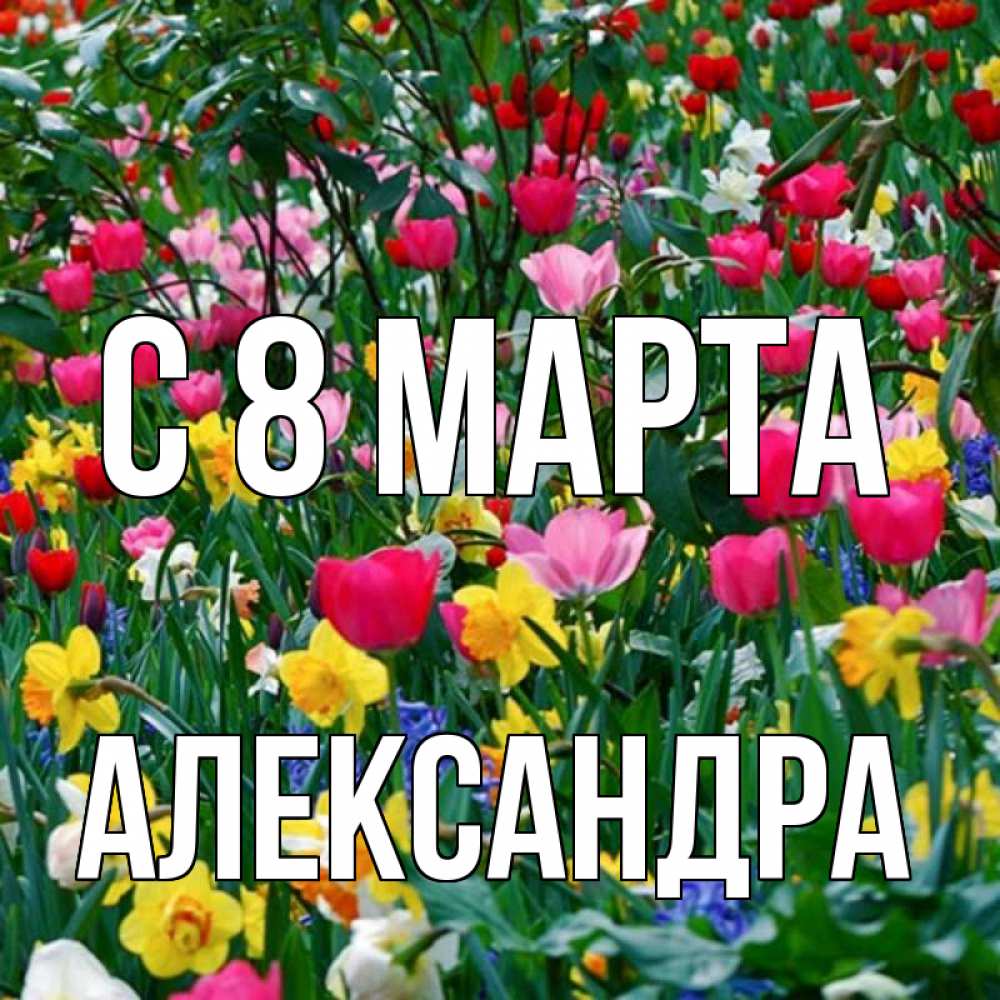 Открытка на каждый день с именем, Александра С 8 МАРТА с международным женским днем поздравления для женщины Прикольная открытка с пожеланием онлайн скачать бесплатно 