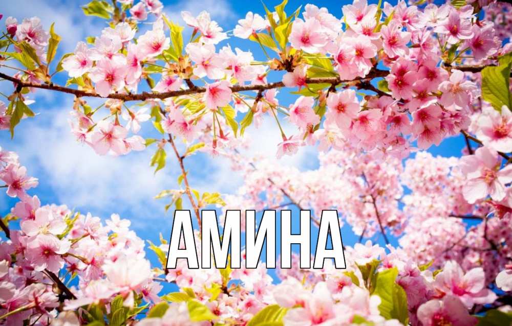Открытка на каждый день с именем, Амина Главная С 1 мая Прикольная открытка с пожеланием онлайн скачать бесплатно 