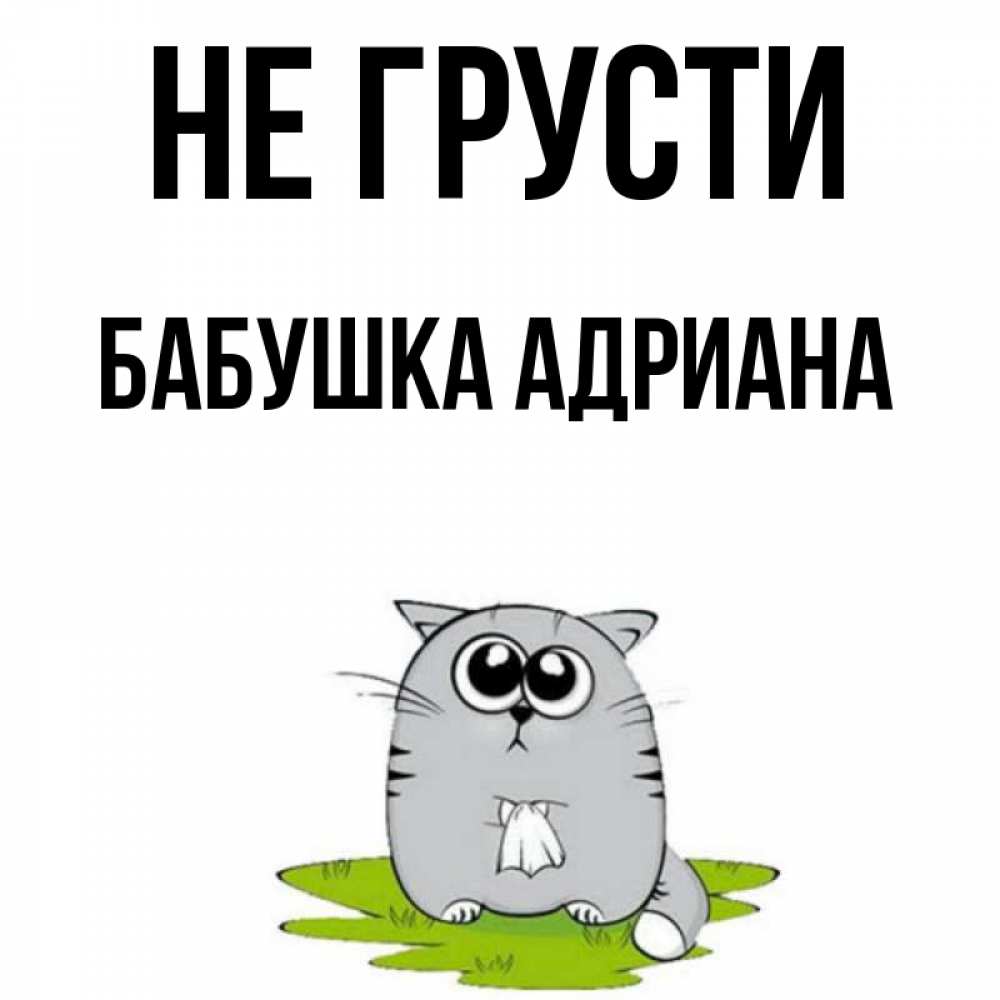 Открытка на каждый день с именем, Бабушка-Адриана Не грусти грустный котяра Прикольная открытка с пожеланием онлайн скачать бесплатно 