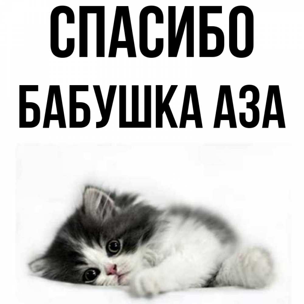 Открытка на каждый день с именем, Бабушка-Аза Спасибо черный и белый кот Прикольная открытка с пожеланием онлайн скачать бесплатно 