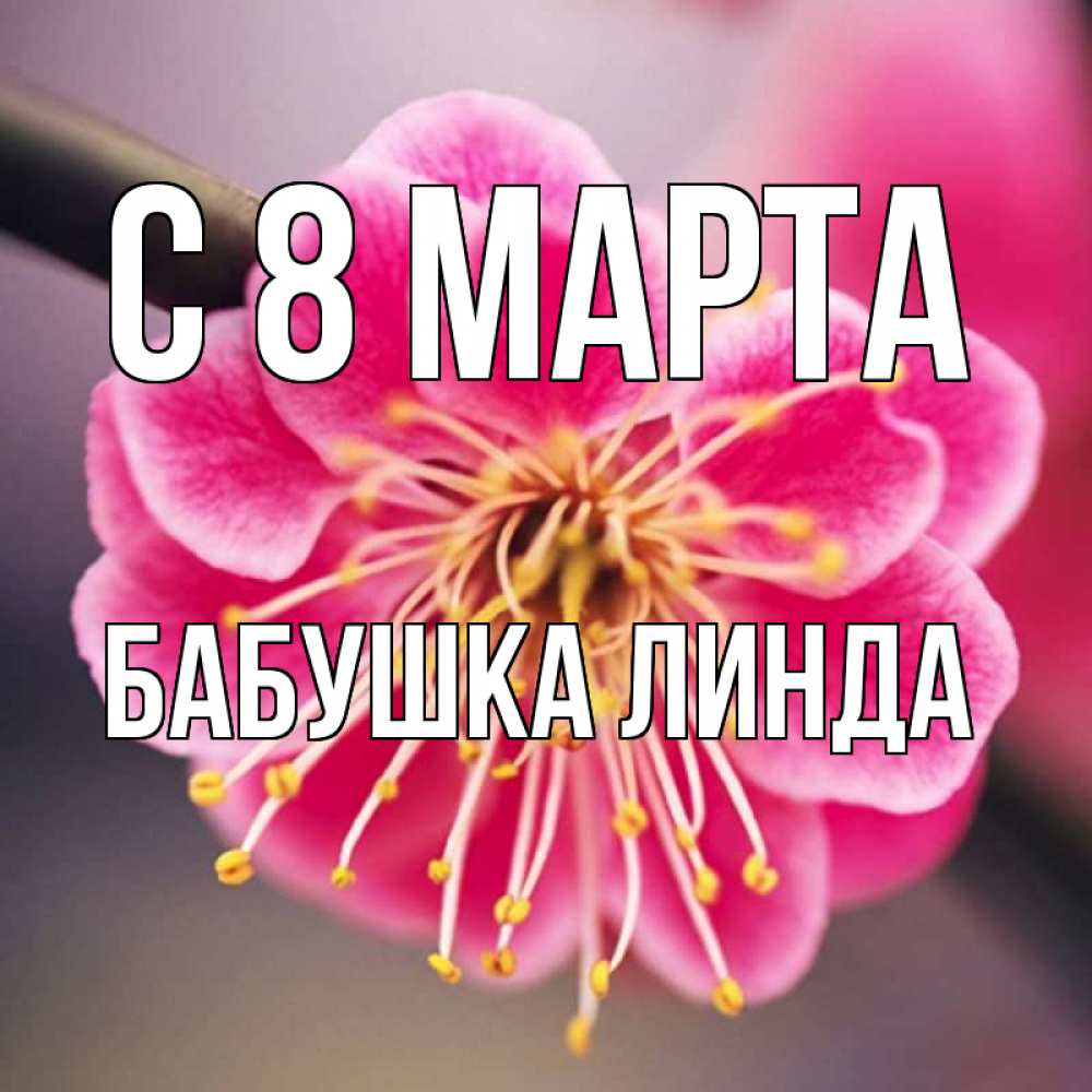 Открытка на каждый день с именем, Бабушка-Линда С 8 МАРТА цветы Прикольная открытка с пожеланием онлайн скачать бесплатно 