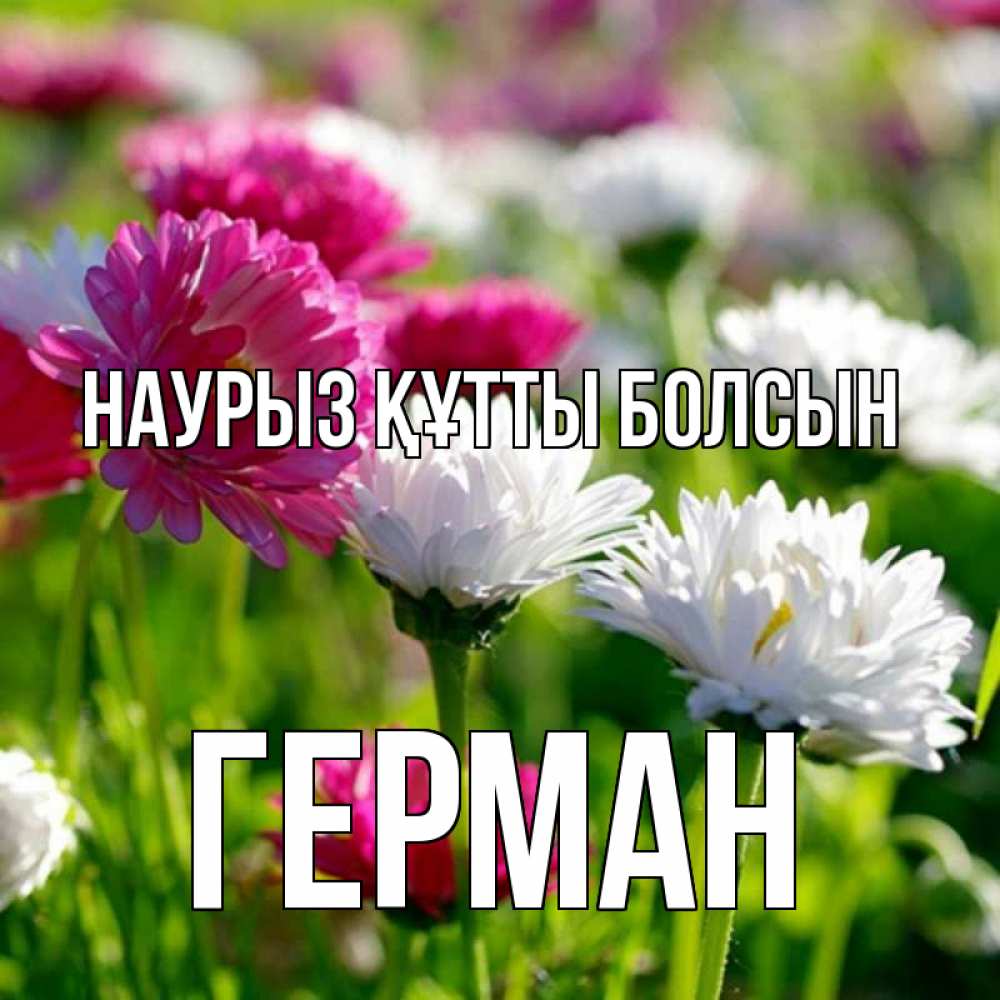 Открытка на каждый день с именем, Герман Наурыз құтты болсын наурыз Прикольная открытка с пожеланием онлайн скачать бесплатно 