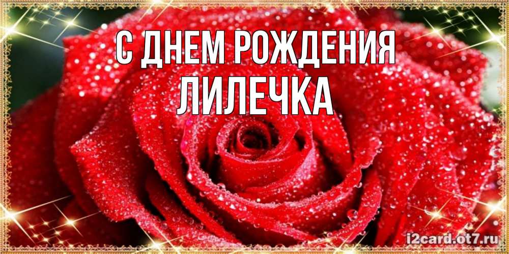 Открытка на каждый день с именем, Лилечка С днем рождения роса и роза. открытка с красивой розой Прикольная открытка с пожеланием онлайн скачать бесплатно 