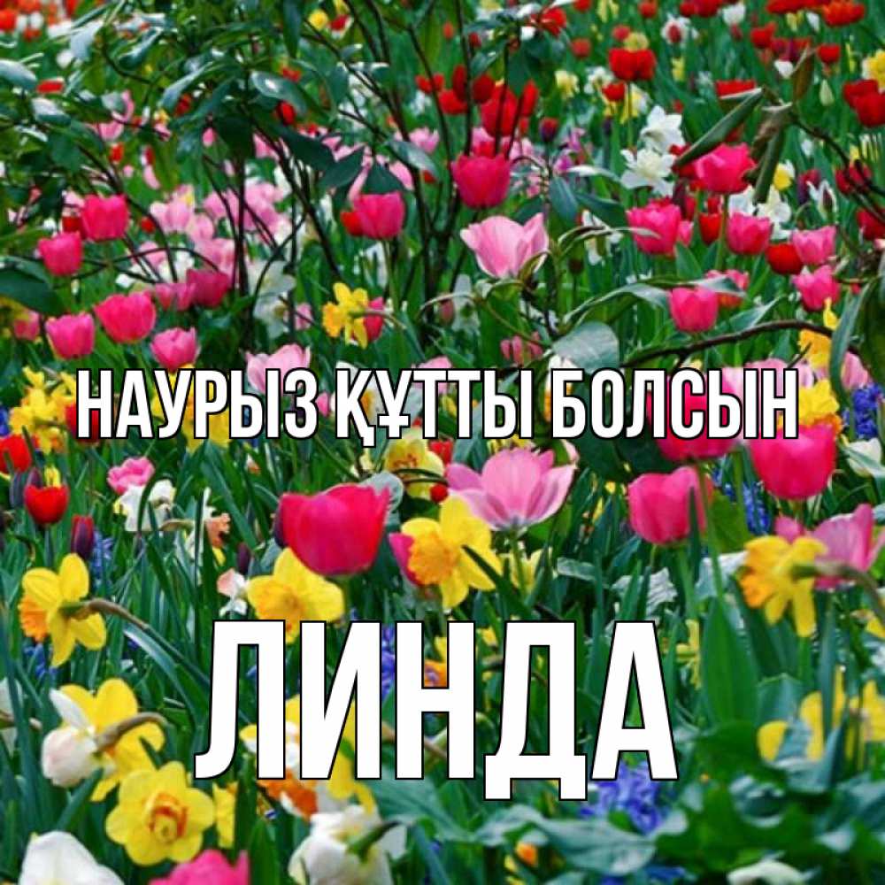 Открытка на каждый день с именем, Линда Наурыз құтты болсын с наурызом поздравления для женщины Прикольная открытка с пожеланием онлайн скачать бесплатно 