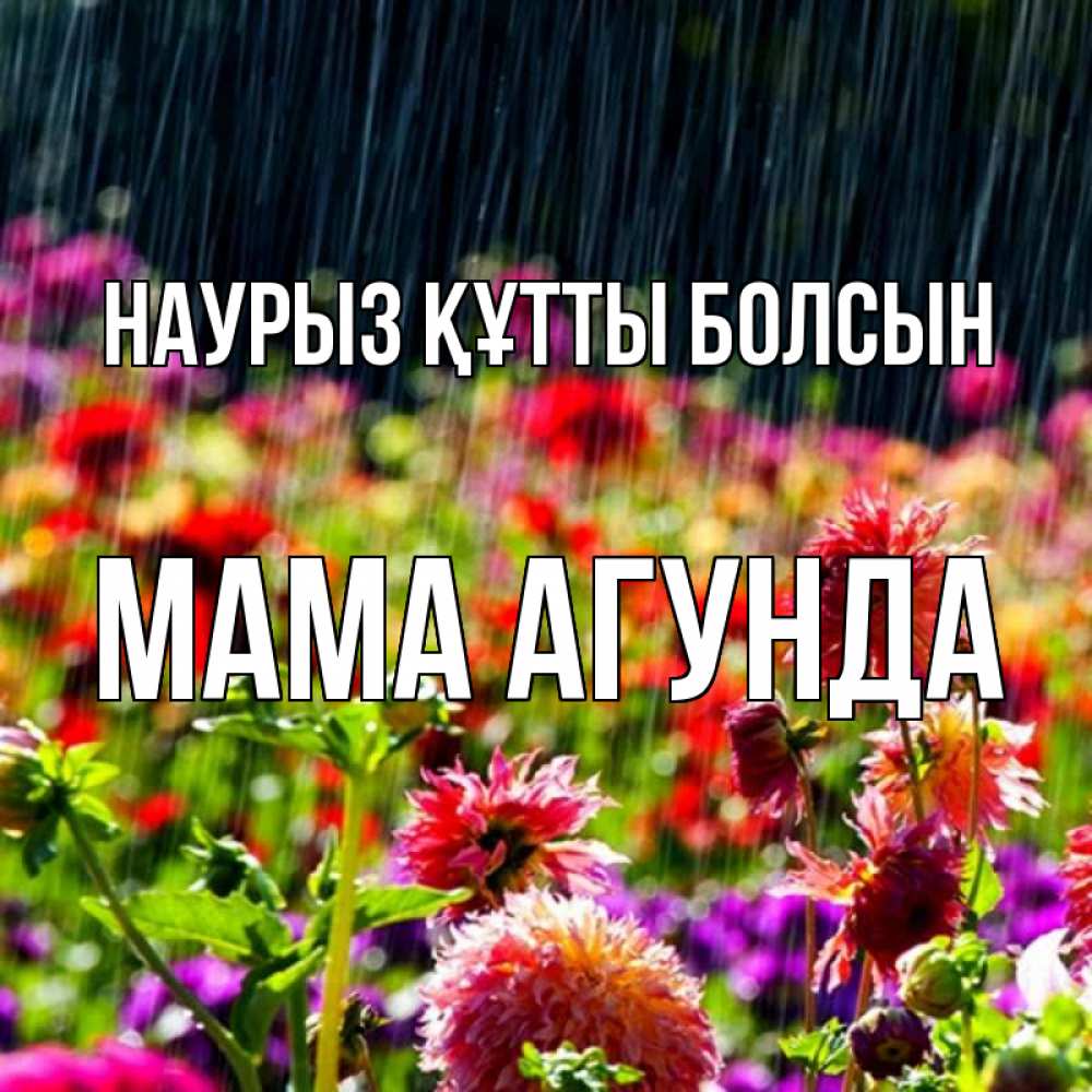 Открытка на каждый день с именем, Мама-Агунда Наурыз құтты болсын цветы под дождиком к наурызу Прикольная открытка с пожеланием онлайн скачать бесплатно 