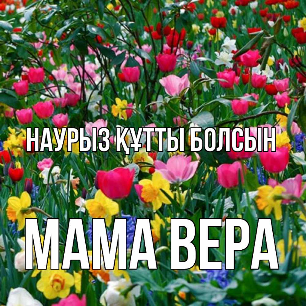 Открытка на каждый день с именем, Мама-Вера Наурыз құтты болсын с наурызом поздравления для женщины Прикольная открытка с пожеланием онлайн скачать бесплатно 