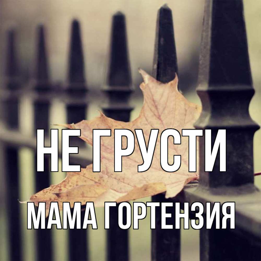 Открытка на каждый день с именем, Мама-Гортензия Не грусти лист клена Прикольная открытка с пожеланием онлайн скачать бесплатно 