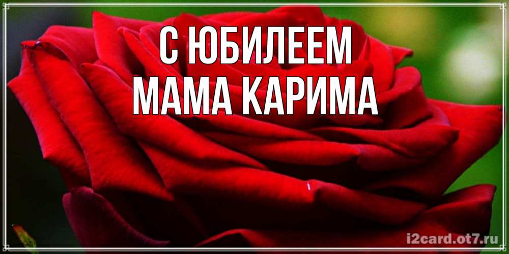 Открытка на каждый день с именем, Мама-Карима С юбилеем розочка очень красивая Прикольная открытка с пожеланием онлайн скачать бесплатно 