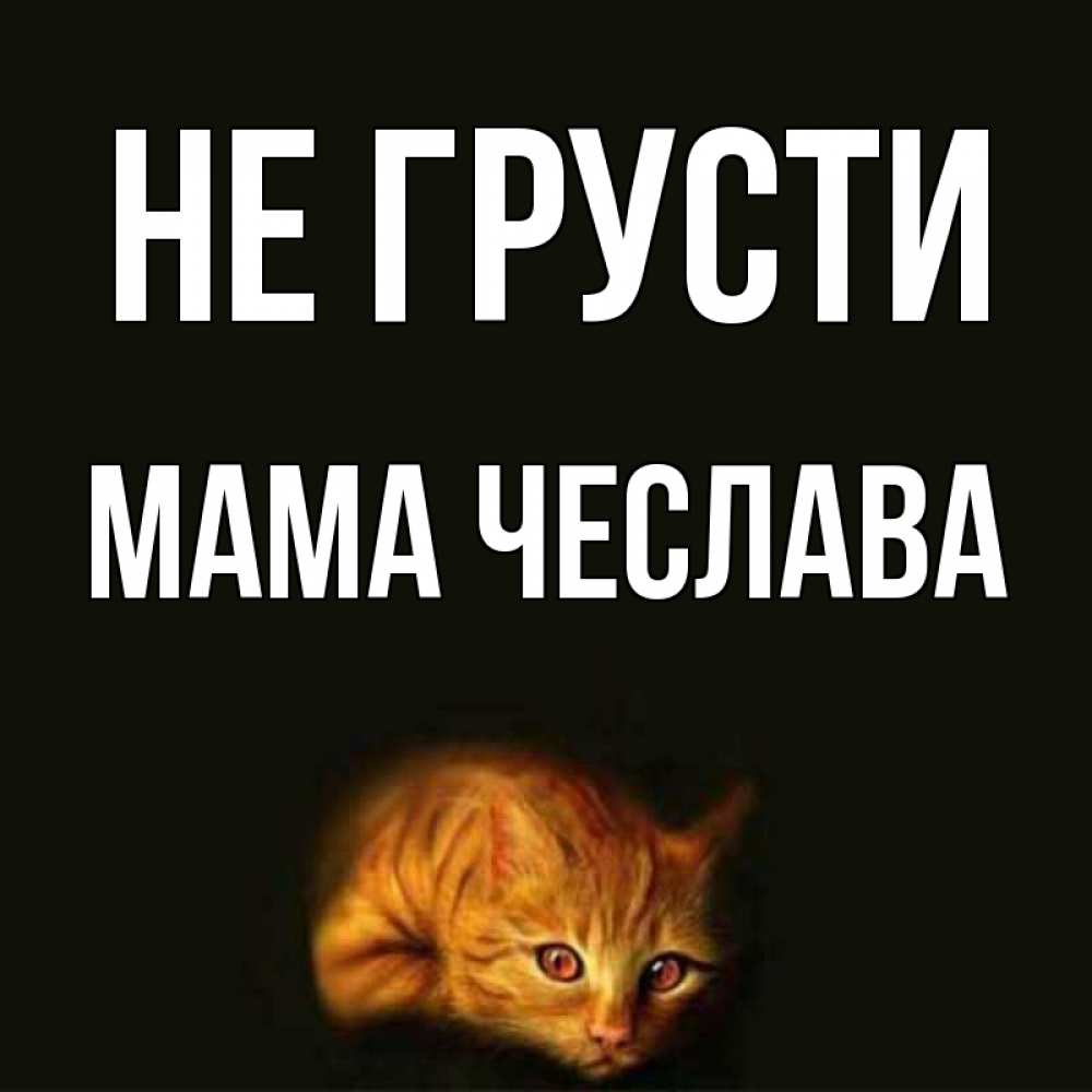 Открытка на каждый день с именем, Мама-Чеслава Не грусти лежащий кот в темноте Прикольная открытка с пожеланием онлайн скачать бесплатно 
