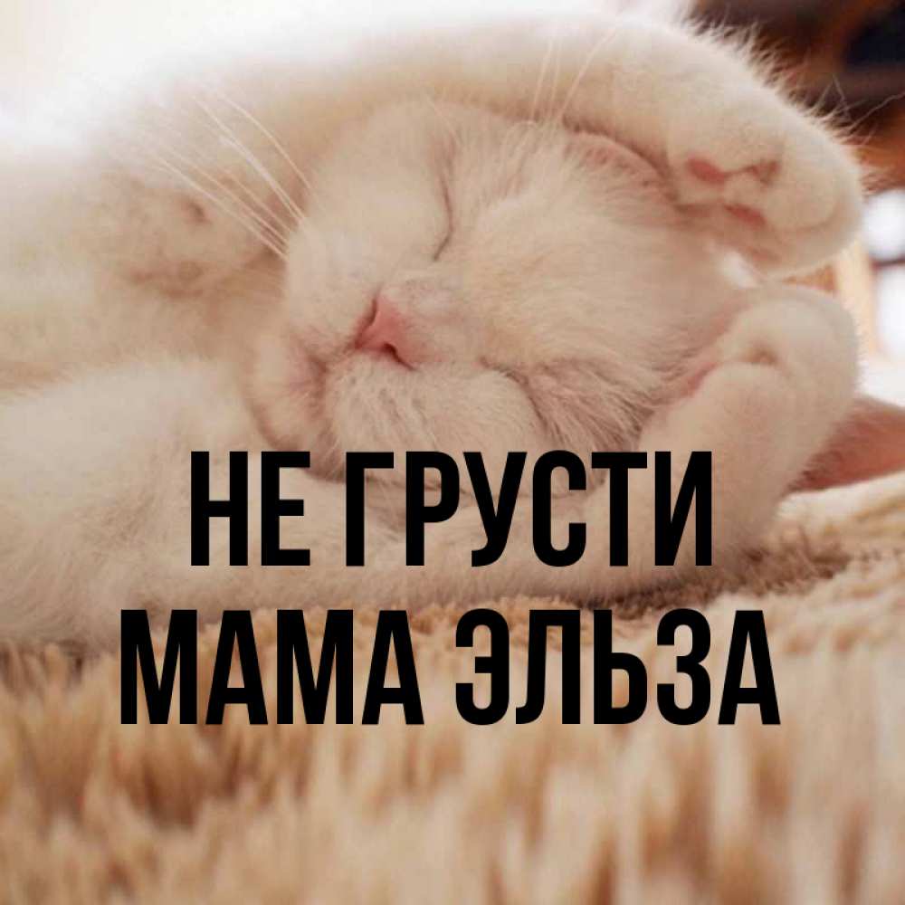 Открытка на каждый день с именем, Мама-Эльза Не грусти Котенок спит Прикольная открытка с пожеланием онлайн скачать бесплатно 