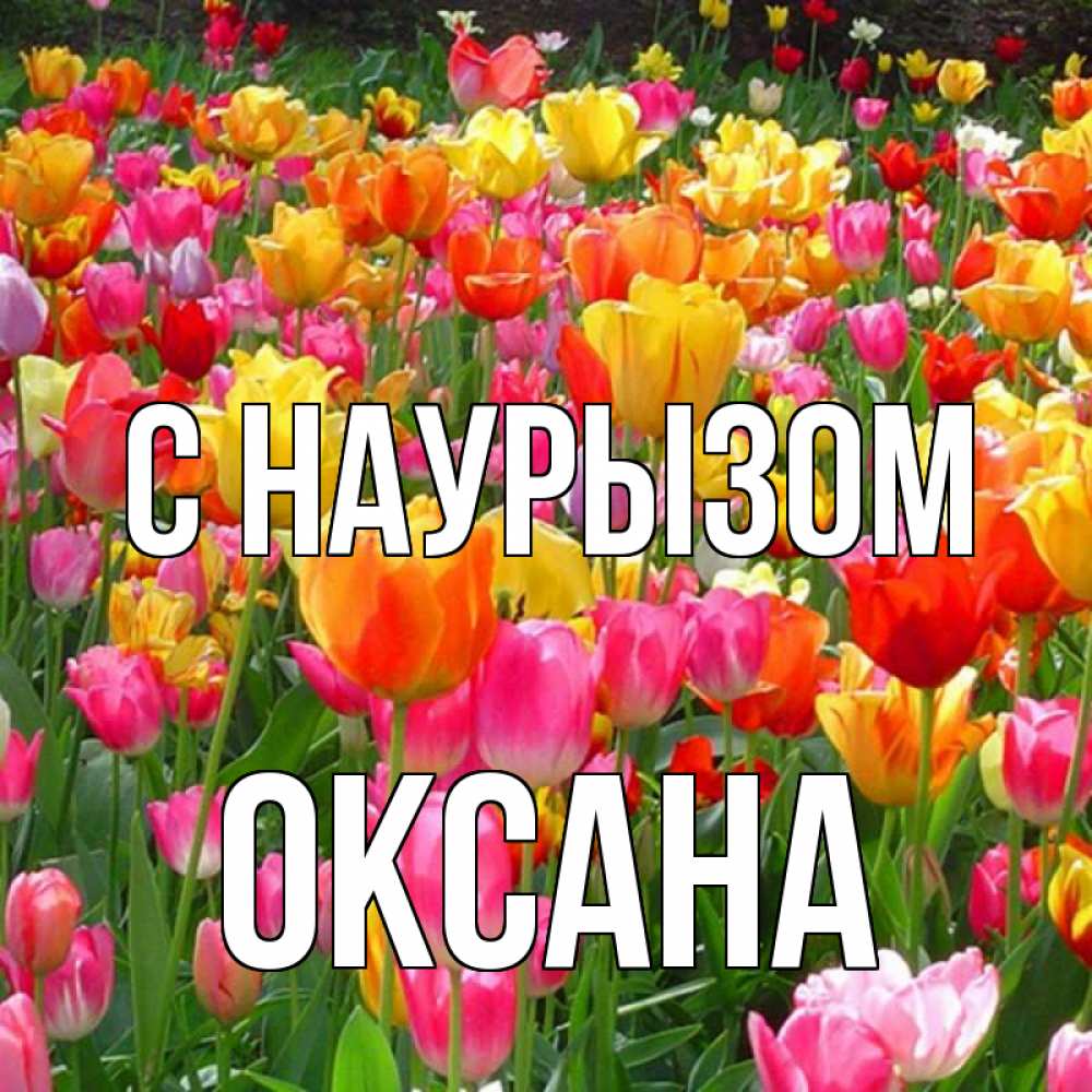 Открытка на каждый день с именем, Оксана С наурызом праздник весны наурыз 4 Прикольная открытка с пожеланием онлайн скачать бесплатно 