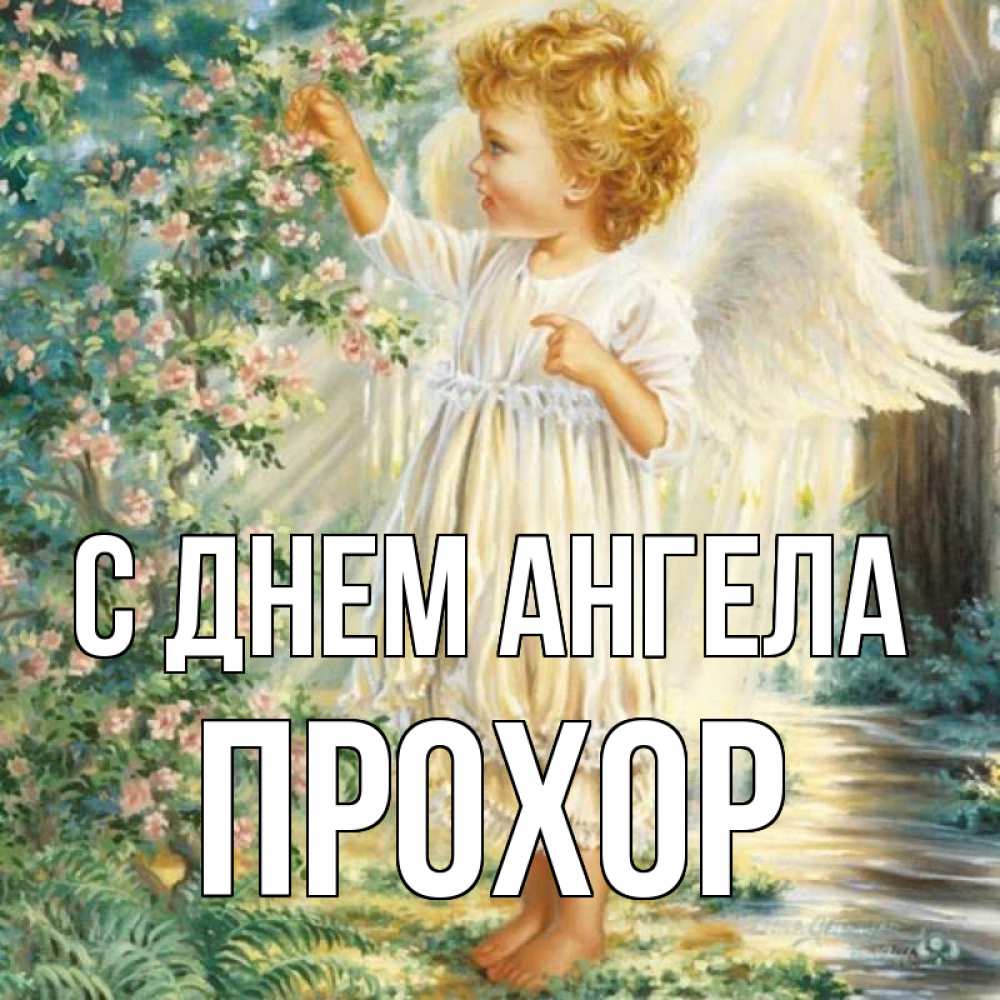 Открытка на каждый день с именем, Прохор С днем ангела собирает цветы Прикольная открытка с пожеланием онлайн скачать бесплатно 