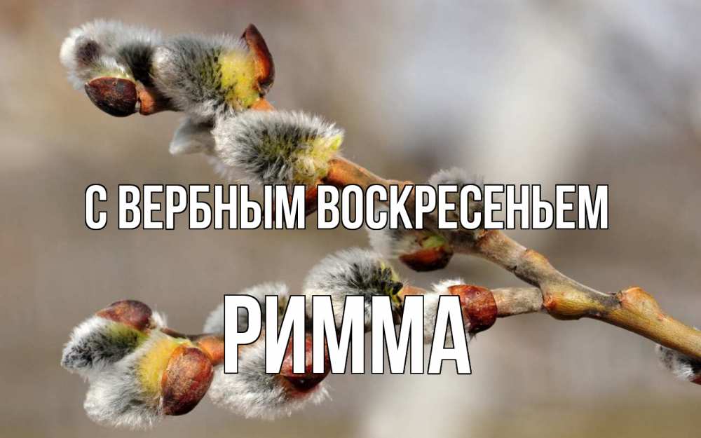 Открытка на каждый день с именем, Римма С вербным воскресеньем Верба Прикольная открытка с пожеланием онлайн скачать бесплатно 