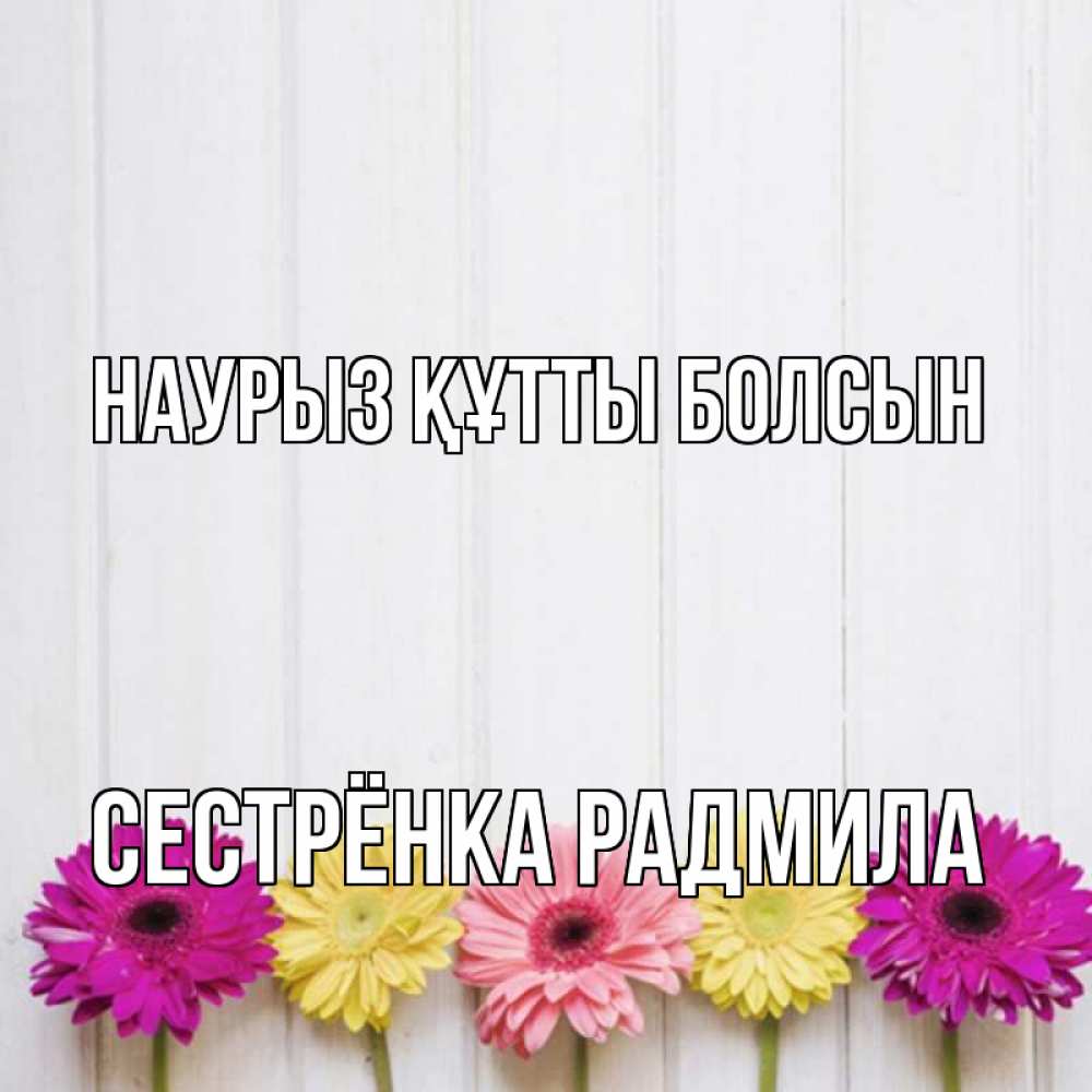 Открытка на каждый день с именем, Сестрёнка-Радмила Наурыз құтты болсын женщинам 1 Прикольная открытка с пожеланием онлайн скачать бесплатно 