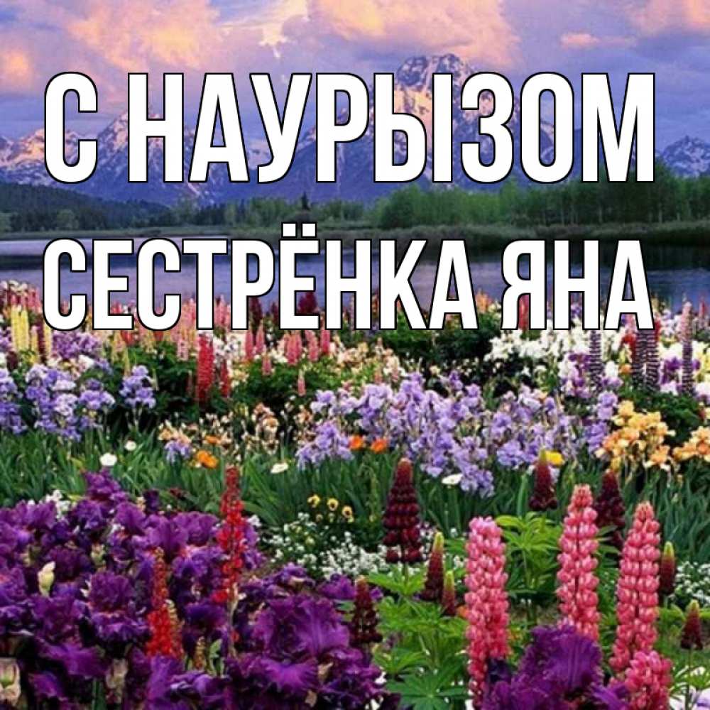 Открытка на каждый день с именем, Сестрёнка-Яна С наурызом праздник весны наурыз Прикольная открытка с пожеланием онлайн скачать бесплатно 