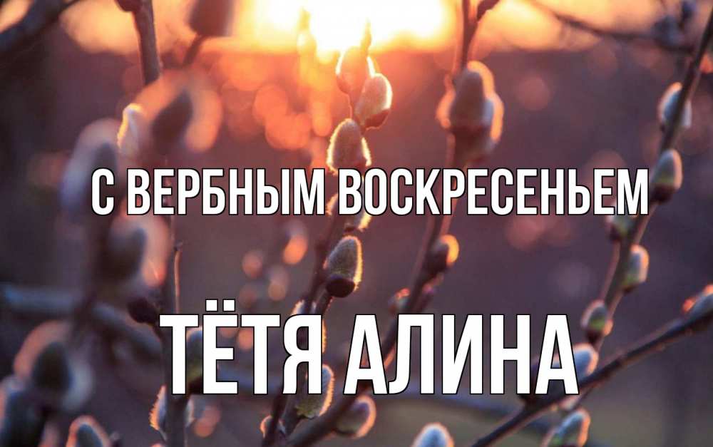 Открытка на каждый день с именем, Тётя-Алина С вербным воскресеньем верба Прикольная открытка с пожеланием онлайн скачать бесплатно 