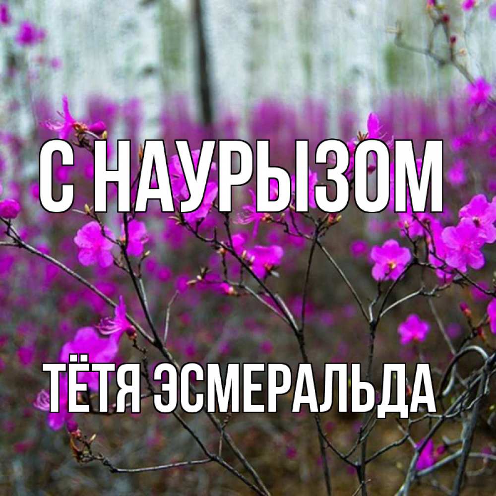 Открытка на каждый день с именем, Тётя-Эсмеральда С наурызом дикие цветы Прикольная открытка с пожеланием онлайн скачать бесплатно 