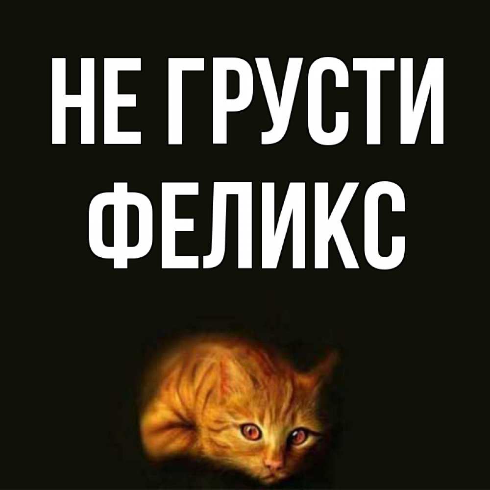 Открытка на каждый день с именем, Феликс Не грусти лежащий кот в темноте Прикольная открытка с пожеланием онлайн скачать бесплатно 
