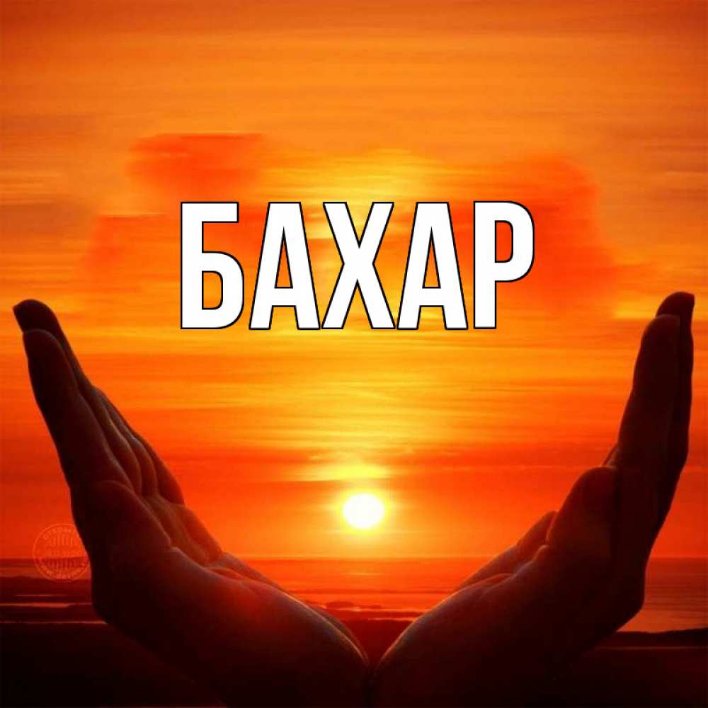 Картинка  с именем , Бахар