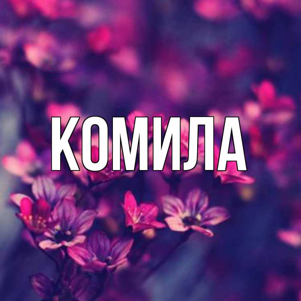 Открытка на каждый день с именем, Комила Главная небольшие цветы 1 Прикольная открытка с пожеланием онлайн скачать бесплатно 