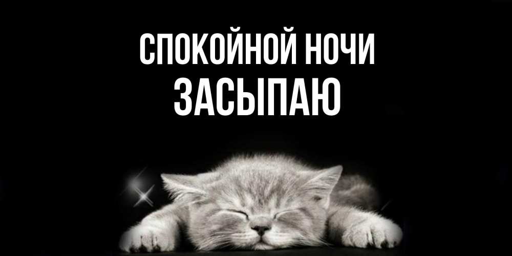 Открытка на каждый день с именем, Засыпаю Спокойной ночи спящий котик Прикольная открытка с пожеланием онлайн скачать бесплатно 