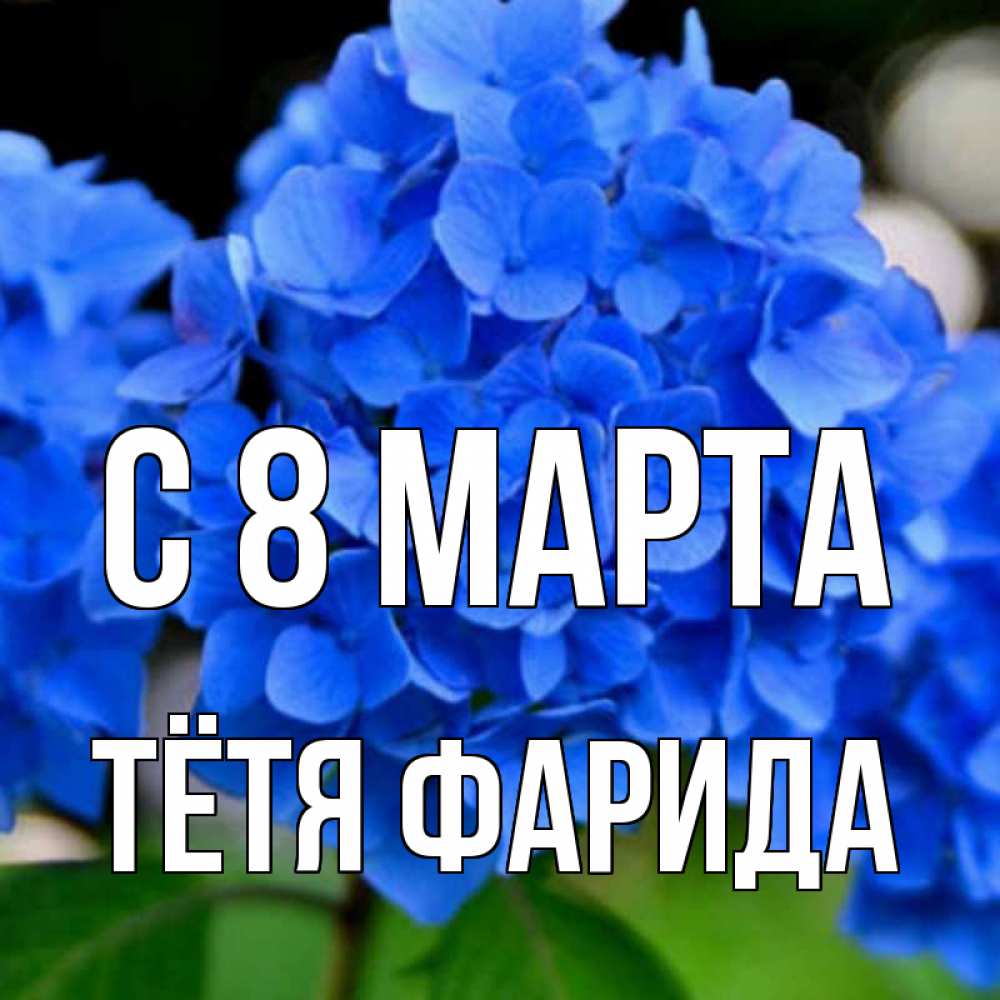 Открытка на каждый день с именем, Тётя-Фарида С 8 МАРТА синие цветы Прикольная открытка с пожеланием онлайн скачать бесплатно 