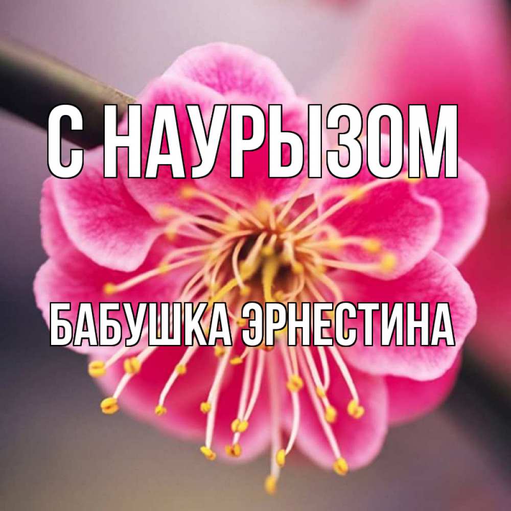 Открытка на каждый день с именем, Бабушка-Эрнестина С наурызом цветы Прикольная открытка с пожеланием онлайн скачать бесплатно 