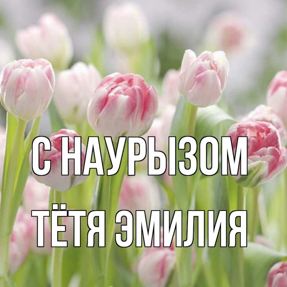 Открытка на каждый день с именем, Тётя-Эмилия С наурызом цветы Прикольная открытка с пожеланием онлайн скачать бесплатно 