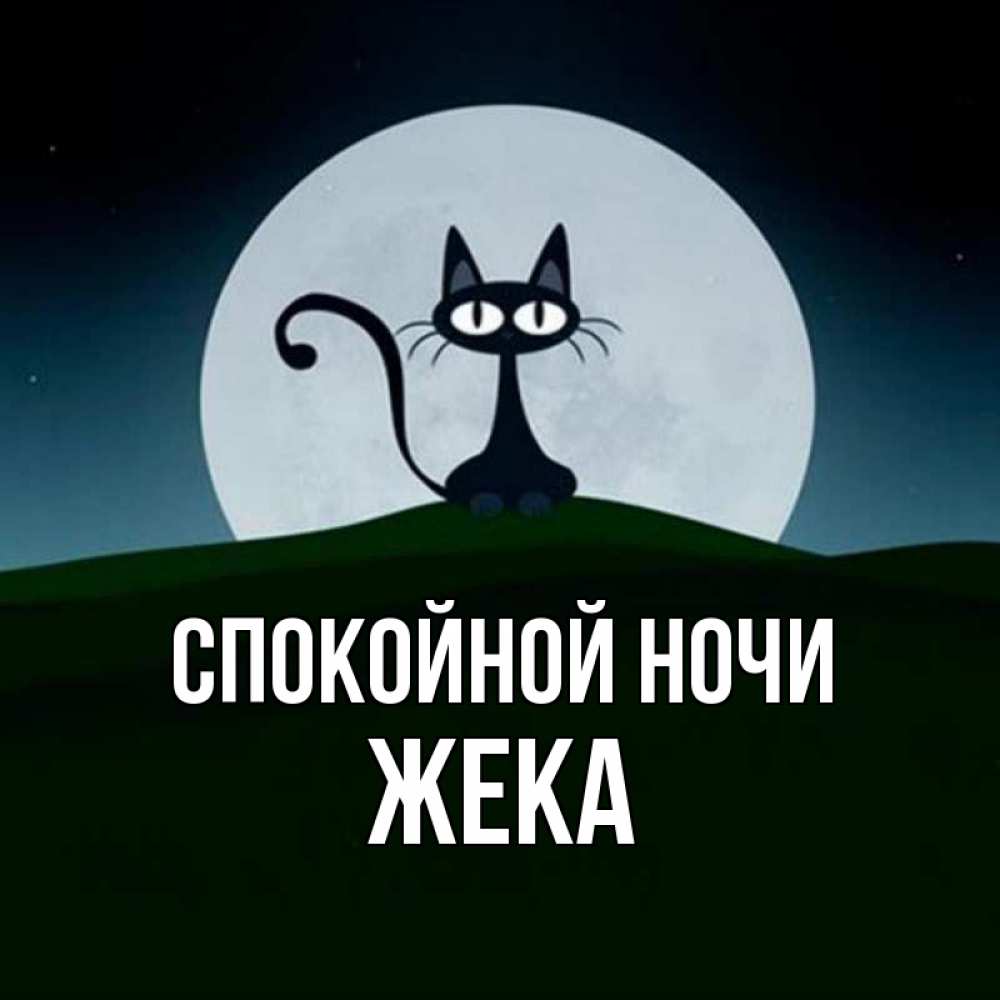 жека ночь. жека ночь. тбили. жека ночь. жека ночь.