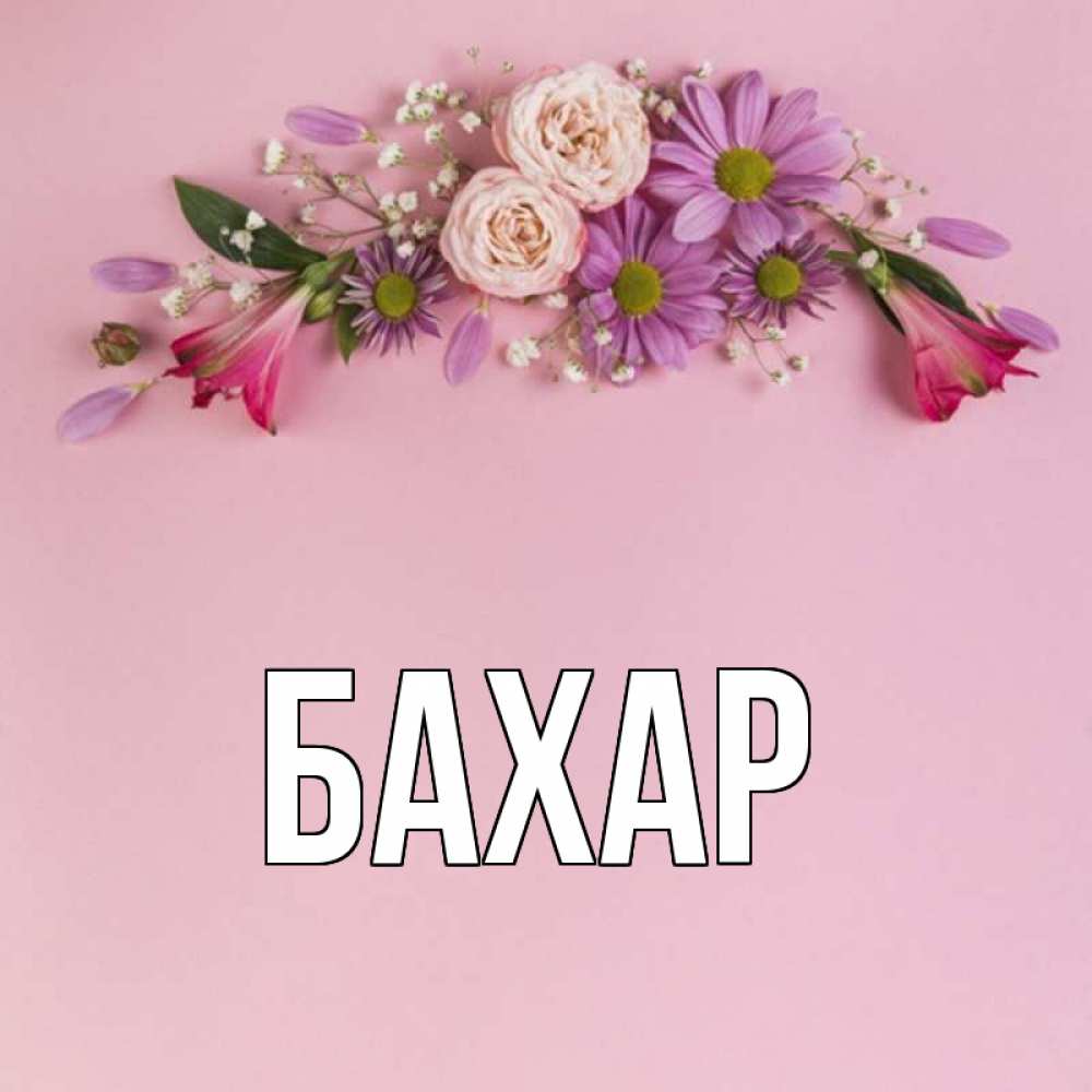 Открытка на каждый день с именем, Бахар Главная розовый фон Прикольная открытка с пожеланием онлайн скачать бесплатно 