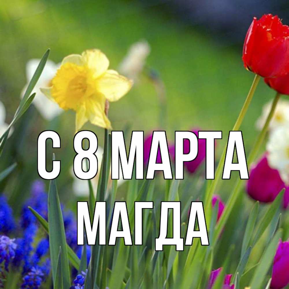 Открытка на каждый день с именем, Магда С 8 марта международный женский день 3 Прикольная открытка с пожеланием онлайн скачать бесплатно 