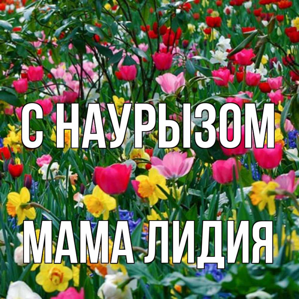 Открытка на каждый день с именем, Мама-Лидия С наурызом с наурызом праздником весны поздравления для женщины Прикольная открытка с пожеланием онлайн скачать бесплатно 