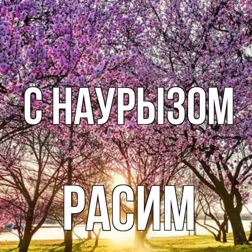 Открытка на каждый день с именем, Расим С наурызом праздник весны наурыз Прикольная открытка с пожеланием онлайн скачать бесплатно 