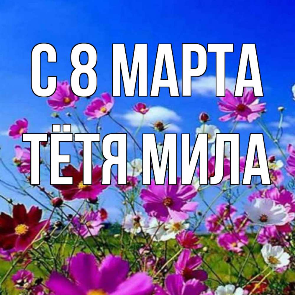 Открытка на каждый день с именем, Тётя-Мила С 8 МАРТА цветы Прикольная открытка с пожеланием онлайн скачать бесплатно 