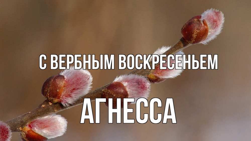 Открытка на каждый день с именем, Агнесса С вербным воскресеньем верба Прикольная открытка с пожеланием онлайн скачать бесплатно 
