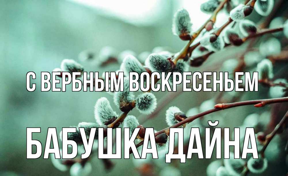 Открытка на каждый день с именем, Бабушка-Дайна С вербным воскресеньем верба Прикольная открытка с пожеланием онлайн скачать бесплатно 