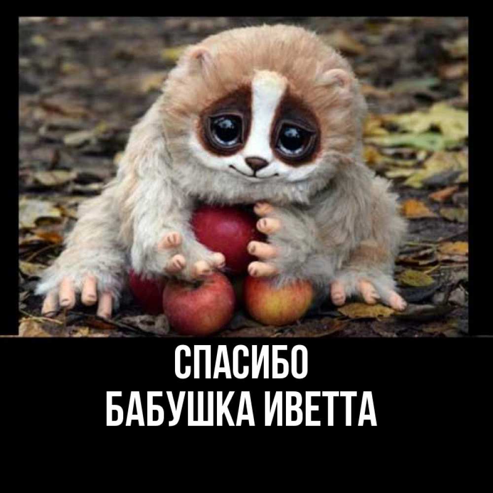 Открытка на каждый день с именем, Бабушка-Иветта Спасибо прикольное животное Прикольная открытка с пожеланием онлайн скачать бесплатно 